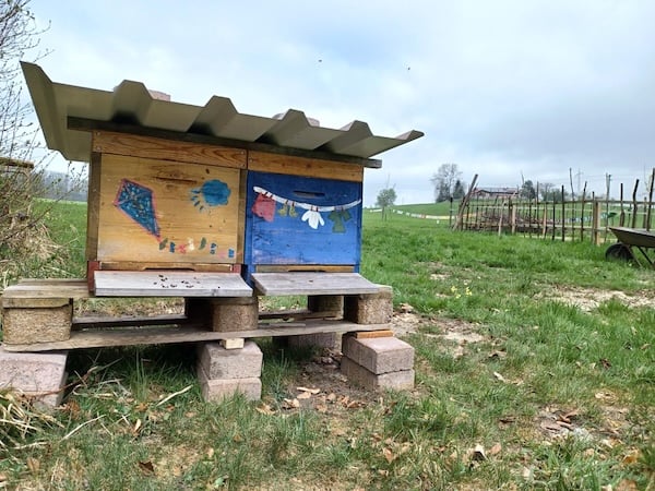 Die ersten Tiere auf dem Kinderbauerhof