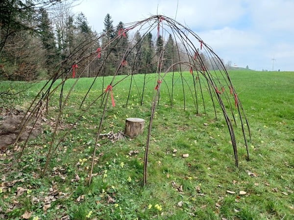 Unsere Weidenhütte ... muss "nur noch" anwachsen und grün werden!
